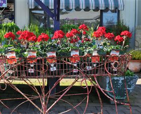 Van Loon's Nursery - Rental Cars 0