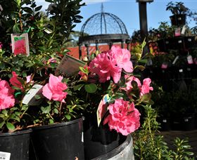 Van Loon's Nursery - Rental Cars 1