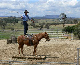 Boggy Creek Shows - Rental Cars 0