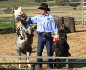 Boggy Creek Shows - Rental Cars 2