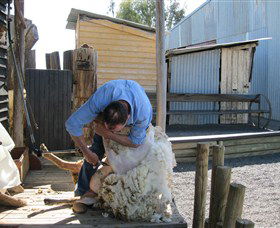 Boggy Creek Shows - Rental Cars 4