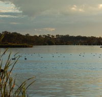 Lake Inverell Reserve - Rental Cars