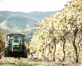 Logan Wines - Rental Cars 5