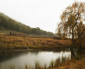 Logan Wines - Rental Cars 6