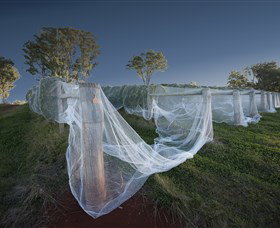 Toppers Mountain Wines - Rental Cars 0