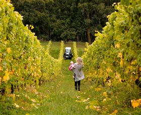 Polperro Winery - Rental Cars 7