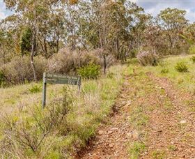 Old Mountain Road Walking Track - Rental Cars 0