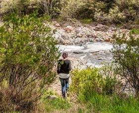 Old Mountain Road Walking Track - Rental Cars 1