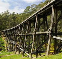 Noojee Trestle Bridge - Rental Cars