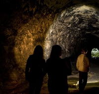 Newnes Plateau - Rental Cars