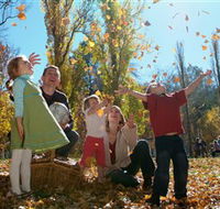 Cotter Avenue recreation area - Rental Cars