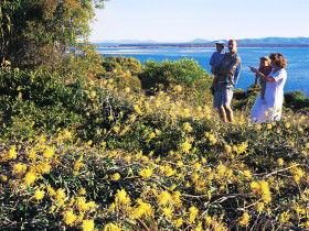 Joseph Banks Conservation Park - Rental Cars 0