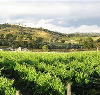 Tallagandra Hill - Rental Cars