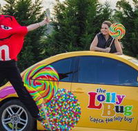 The Lolly Bug - Rental Cars