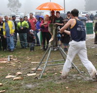 Lockyers Road Walking Track - Rental Cars