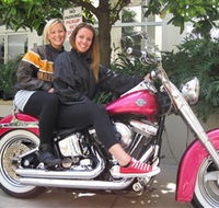 Wild Ride Harley and Motorcycle Tours - Rental Cars