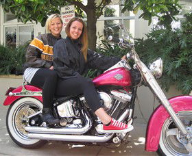 Wild Ride Harley And Motorcycle Tours - Rental Cars 0