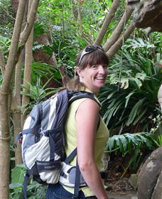 Sydney Incognita - Rental Cars 0