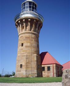 Sydney Incognita - Rental Cars 2