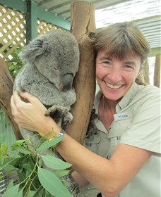 Sydney Incognita - Rental Cars 7