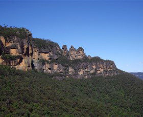 Sydney Incognita - Rental Cars 5