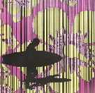 Iain Dawson Gallery - Rental Cars 2