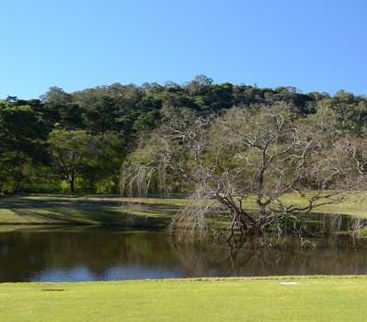 Antill Park Country Golf Club - Rental Cars 1