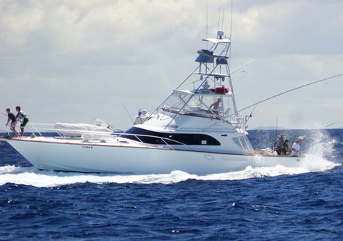 Amokura Charters - Rental Cars 2