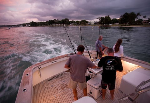 Amokura Charters - Rental Cars 3