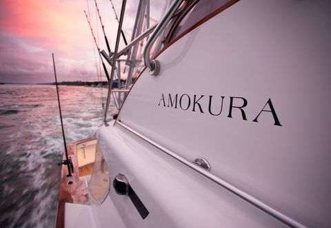 Amokura Charters - Rental Cars 4