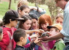 Blackbutt Reserve - Rental Cars 2