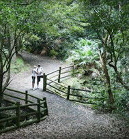 Blackbutt Reserve - Rental Cars 3