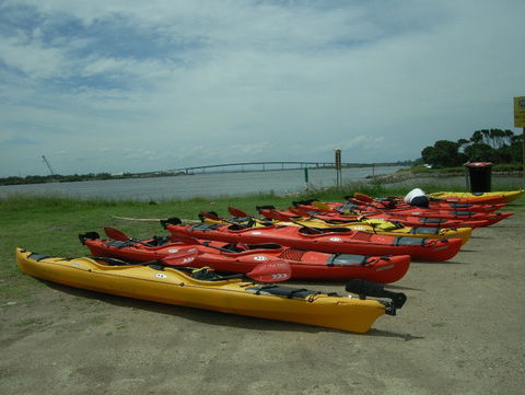 Newcastle Kayak Tours - Rental Cars 2