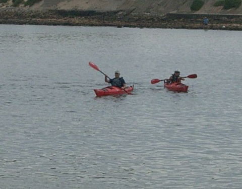 Newcastle Kayak Tours - Rental Cars 4