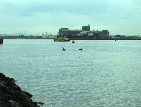 Newcastle Kayak Tours - Rental Cars 5