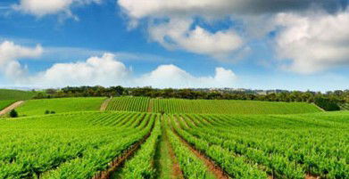 Sydney Weekend Adventures - Rental Cars 2