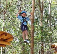 TreeTops Newcastle - Rental Cars