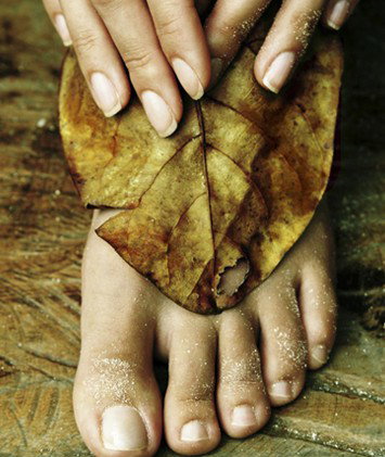 Royal Day Spa - Rental Cars 7