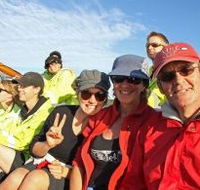 Byron Bay Whale Watching - Rental Cars
