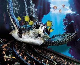 IMAX Theatre Sydney - Rental Cars 0