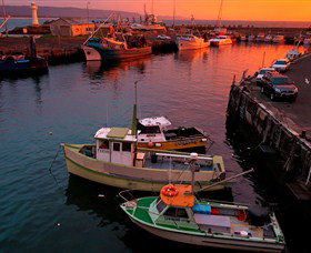 Australian Sightseeing And Photography Tours - Rental Cars 2