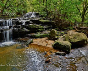 Australian Sightseeing And Photography Tours - Rental Cars 1