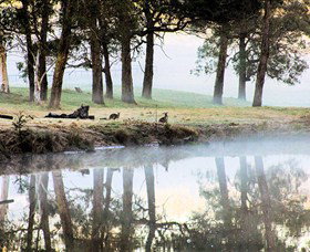 Australian Sightseeing And Photography Tours - Rental Cars 4