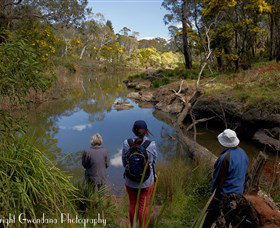 Australian Sightseeing And Photography Tours - Rental Cars 5