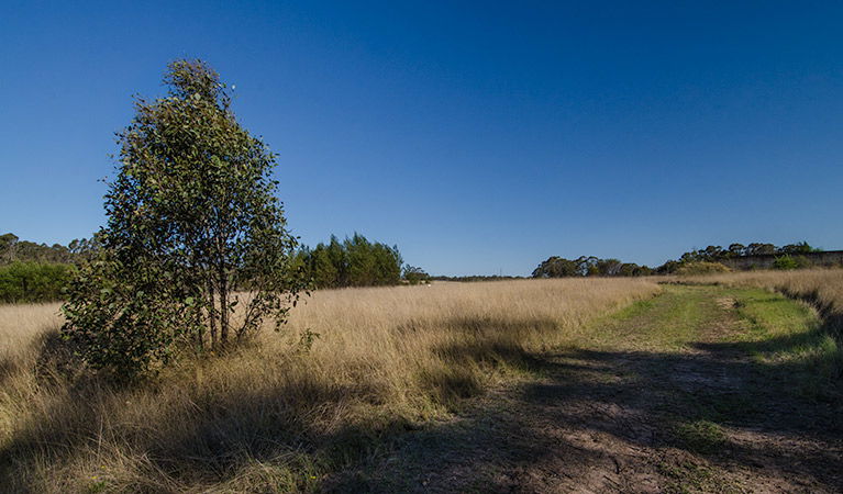 Oakville NSW Rental Cars