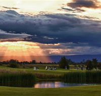 Lynwood Country Club - Rental Cars