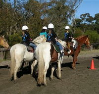 Darkes Forest Riding Ranch - Rental Cars