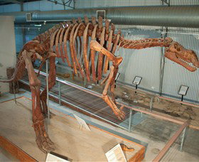 Flinders Discovery Centre - Rental Cars 1