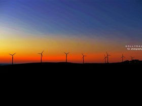 Starfish Hill Windfarm - Rental Cars 0