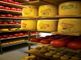 Alexandrina Cheese Company - Rental Cars 0